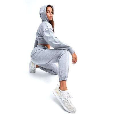 China Antibacterial Factory Directly Sell Breathable Fitness Yoga Women Cotton Sweatpants Hoodie Set for sale