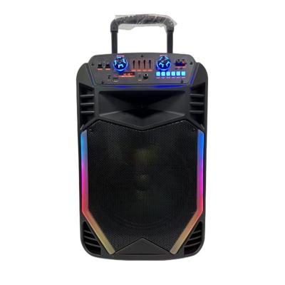 China Mini 12 Inch Karaoke Speaker High Power Plastic Portable Rechargeable Speaker With Trolley And Wheels Party Speaker for sale