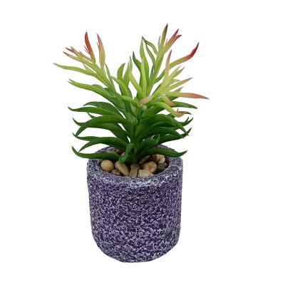 China Hot Sale Natural Multi Meat Amazon Touch Potted Home Indoor Balcony Set Mini Artificial Succulent Plant Combination For All Decoration for sale