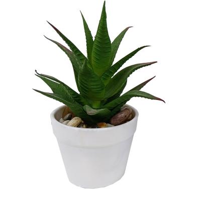 China New Design Home Simulation Succulent Plants High Quality Eco-friendly Decoration Artificial Succulent Potted In Pots For Office Decor for sale