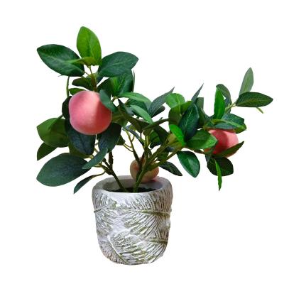 China Eco-friendly Indoor and Outdoor Plastic 2 Artificial Fruit Simulation Peach Bonsai Touch Real Peach Tree in Ceramic Flowerpot for Home for sale