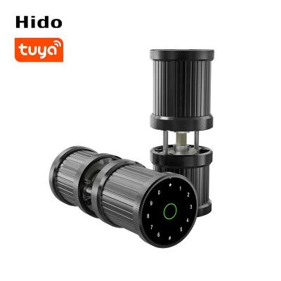 China Hido Digital Door Lock Tuya Smart Lock Automatic Fingerprint Front Door Lock for sale