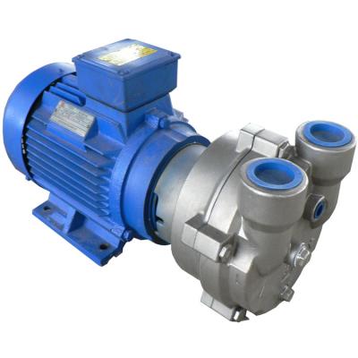 China Hot Selling Ring Vacuum Pump Made of Automotive Industry 2BV2/2BV5/2BV6 Liquid in Water Ring Vacuum Pump Factory from China for sale