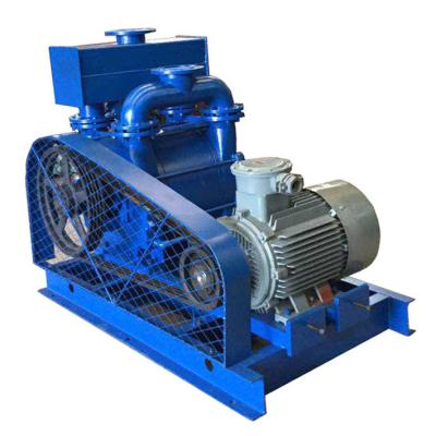 China Automotive Industry 2BE1-252 / 2BE1-353 Stainless Vacuum Pump Stylish Liquid Water Ring Vacuum Pumps for sale