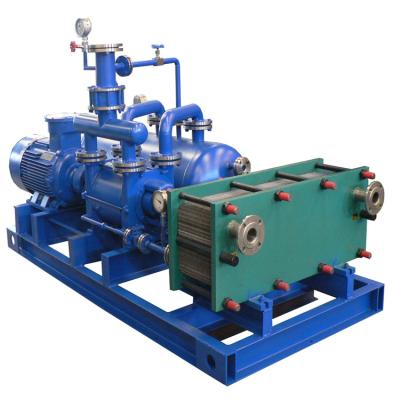 China Automotive Industry High Quality High Pressure Water Ring Vacuum Pump For Vacuum Filtering for sale