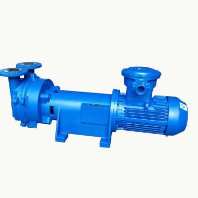 China Automotive Industry 2BV2 2BV5 2BV6 Single Stage Liquid Water Ring Vacuum Pump With Bronze Impeller for sale