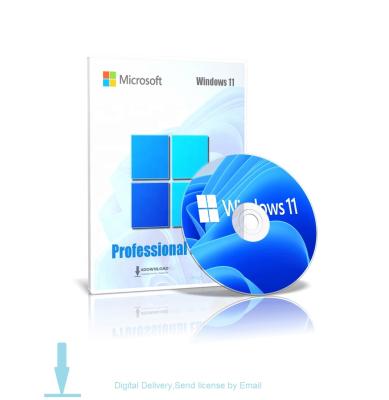 China Microsoft Windows 11 Pro Product Key Activation License (Digital Delivery by Email) Windows 11 Pro for sale