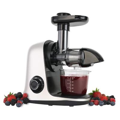 China RV Horizontal Fruit Juicer Slow Masticating Machine,Kitchen Fruit Vegetable Electric Cold Press Juicer Blendr for sale