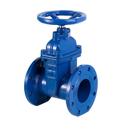 China Sewage With Price 50mm Cast Iron Pn16 Dn100 Resilient Seated Water Din 3352 Flanged Door F4 Valve for sale