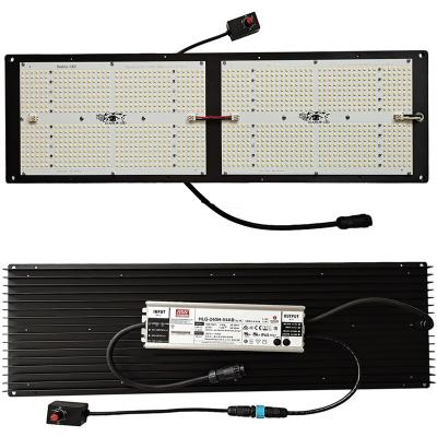 China Seed Starting Diablo LED growlights Most Perfect Spectrum LM301H LM351H 660nm 730nm Diablo QB648 V2 Board for sale