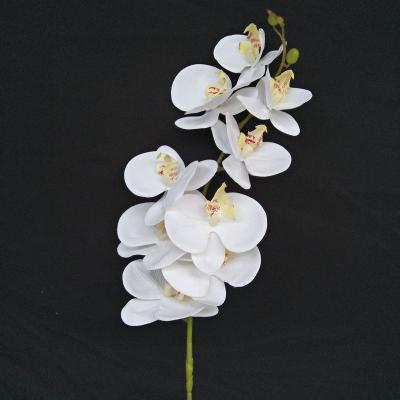 China Natural Touch Natural Touch Plant Customized 3d Printing Fake Orchid Phalaenopsis Wedding Decor Real Touch Artificial Silk Flower Plants Wholesale for sale