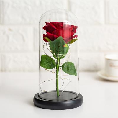 China Wholesale Natural Touch Durable Naturals Custom Gift Iced Roses In Glass Jars For Thanksgiving And Valentine's Day Led Eternal Roses With Lights for sale