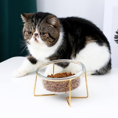 China Non-automatic Glass Pet Food Container Storge Lifted Pet Feeder Bowl for sale