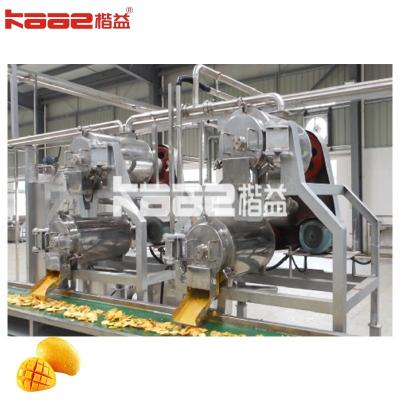 China Efficient Food Grade Stainless Steel Fresh Fruit Mango Processing Line Fruit Juice Machine for sale