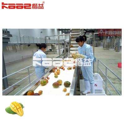 China SUS304 316 Mango Pulp Processing Line For Beverage Production Enterprise for sale