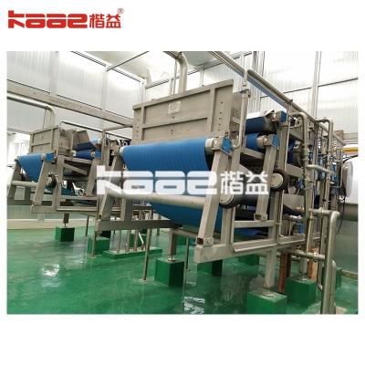 China Fully Automatic Berry Juicer Machine Fruit Juice Processing Equipment Line for sale