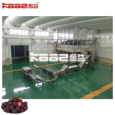 China Hygienic Complete Juice Production Line Processing Machine For Berry Juicer Machine for sale