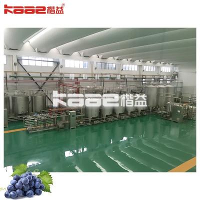 China Complete Full Automatic Berry Juicer Machine Processing Line High Capacity for sale