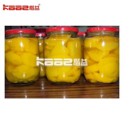 China Pineapple Yellow Peach Canned Fruits And Vegetables Production Line for sale