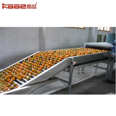 China 12 Grading Lanes Industrial Automatic Fruit Sorting Machine Weight Grading Efficient for sale