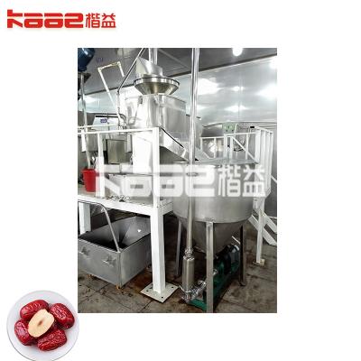 China Stainless Steel SUS304/316 Dates Production Line Dates Fruits Dates Processing Machine for sale