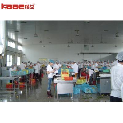 China Easy Operation High Efficiency Canned Food Processing Line 1~60 Tons for sale