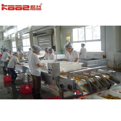 China Electric Driven Type Peach Canned Food Production Line 0-200 Cans Capacity for sale