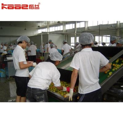 China Canned Yellow Peach Canned Oranges Canned Food Production Line for sale