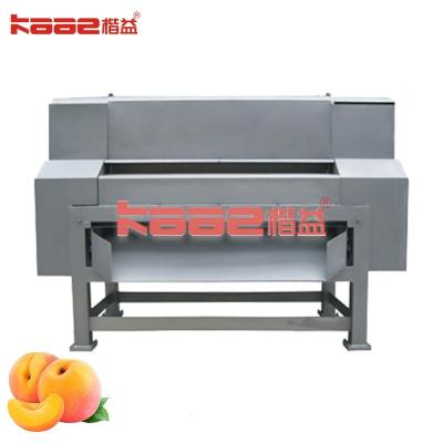 China Peach Stone Removing Machine Double Channel Fruit Beating Machine for sale