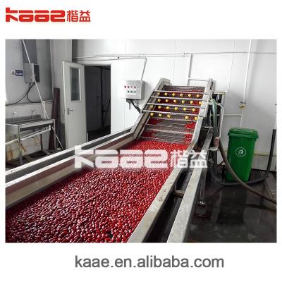 China Fully automatic Dates Processing Machine CE jujube deep processing production line for sale