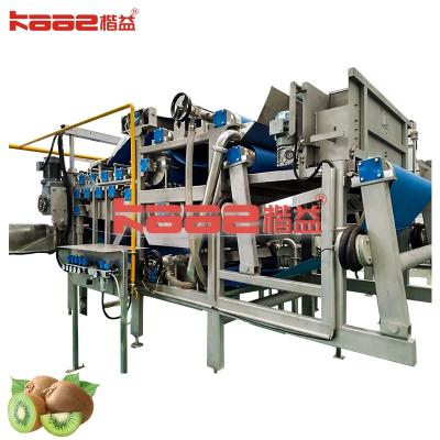 China Blueberry Strawberry Concentrated Juice Processing Line Apple Juice Concentrate for sale