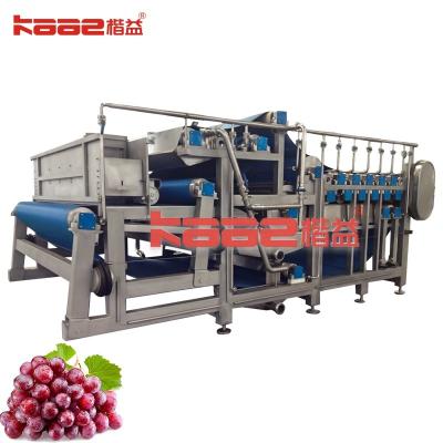 China Red Bayberry 500kg-30t/H Concentrated Juice Processing Line SUS304/316 for sale