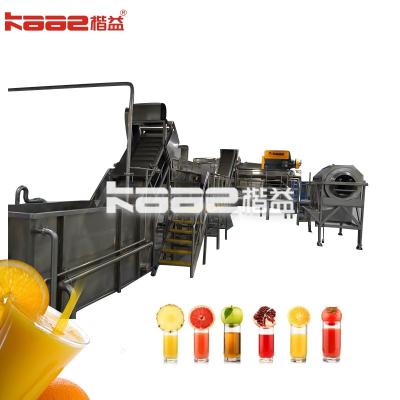 China 0.05t/Hr NFC Juice Processing Line Citrus Fruit Orange Juice Production Line for sale