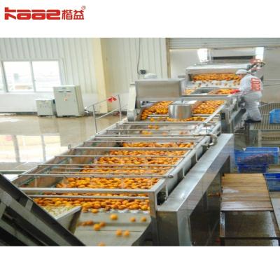 China 1 - 120 tons/h Turnkey Project Automatic Orange Juicer Machine Industrial Orange Juice Line for sale