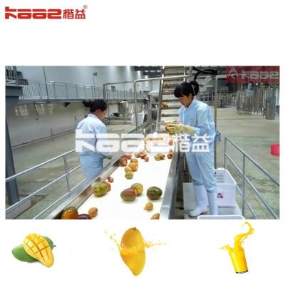 China Food Grade SS304  Mango Juice Production Line For Juice Processing Plant for sale