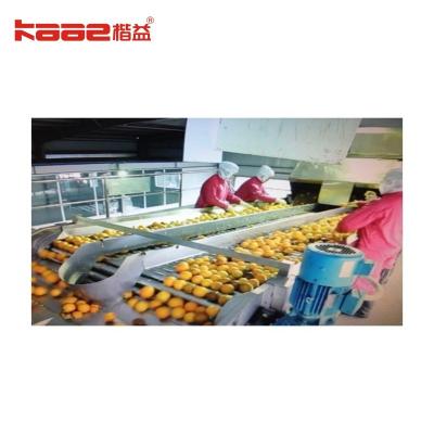 China Sorting Roller Conveyor Automatic Apple Grading Machine Roller Sorting Machine for sale