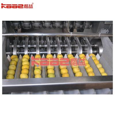 China Oranges Mandarins Tangerines Lemons Cup-Type Of Juice Extractor for sale