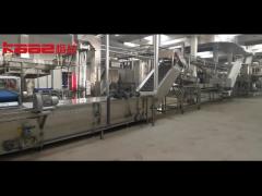 Berry fruits processing line