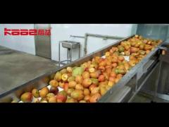 20T/H Mango Juice Production Line