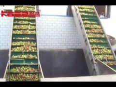 Apple juice processing machine