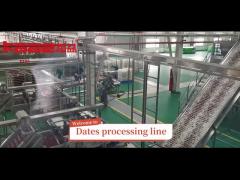 Dates Cleaning Washing Drying Grading Production Line With Dates Processing Fractory