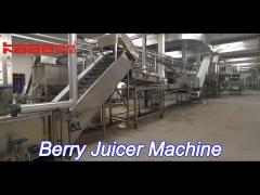 500kg/h berry juicer machine fruit juice machine time saving