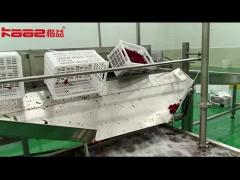 Berry Juicer Machine Juice Processing Line 5T/H