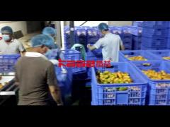 Automatic Mango Juice Production Line SS304  All Fruit Juice Making Machine