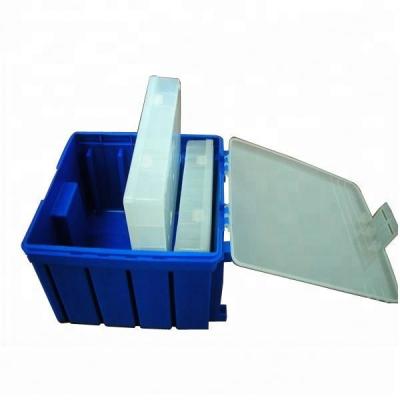 China ABS plastic box organizer with pp inner box for tool and small part plastic injection molding for sale