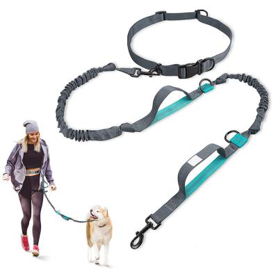 China Hot Selling Reflective Adjustable Restraint Belt Retractable Bungee Hands Free Dog Leash For Walking Rise Running for sale