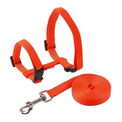 China Good Quality Custom Quick Release Pet Lead H Shape Cat Nylon Walking Harness And Leash Set for sale