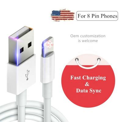 China MP3/MP4 Player NanMing 3ft 6ft 10ft 2 Usb Cable 3.0 Fast Charger Data For Iphone 12 11 Xr X 8 7 6 Charging Cable for sale