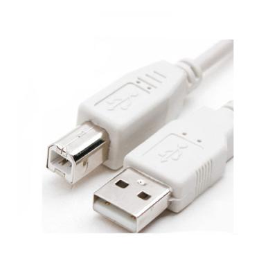 China COMPUTER Wholesale 1ft 3ft 6ft Cable Printer USB A Male to B Male Print Shielded Cable for sale