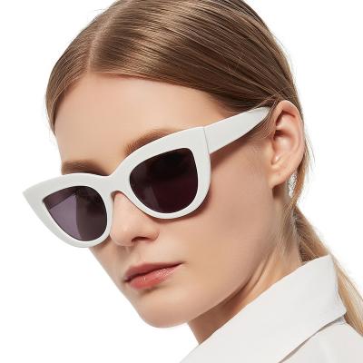 China Fashion Optical Frames Cheap Plastic Eyewear Cat Eye Sunglasses for sale